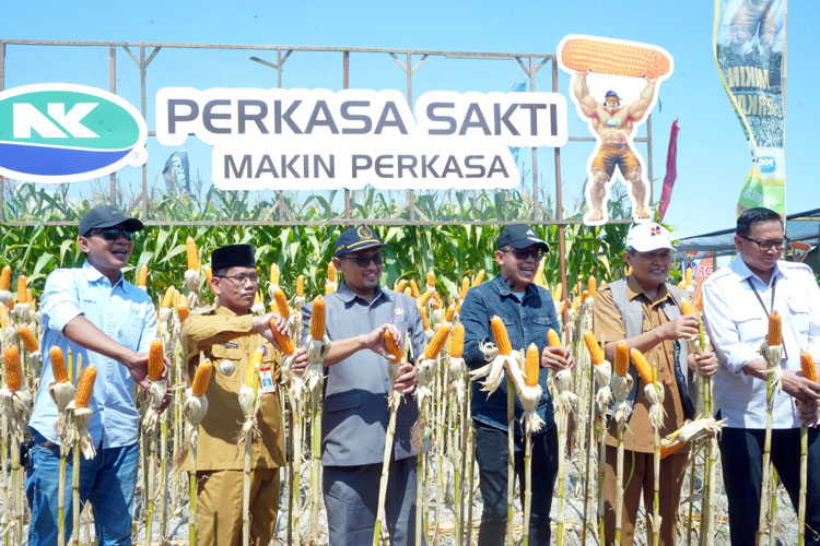 Pemkab Kediri Kenalkan Inovasi dan Teknologi Modern pada Petani