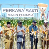 Pemkab Kediri Kenalkan Inovasi dan Teknologi Modern pada Petani