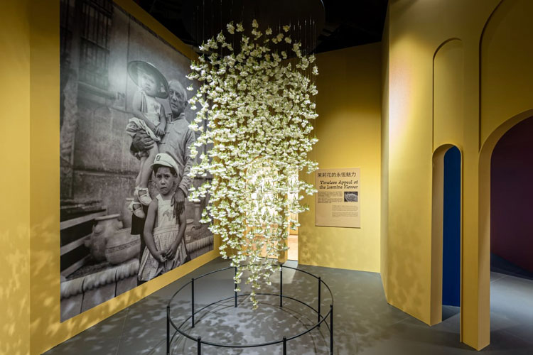 Salah satu sudut pameran “Picasso: Beauty and Drama” yang menarik. (Foto: Istimewa)