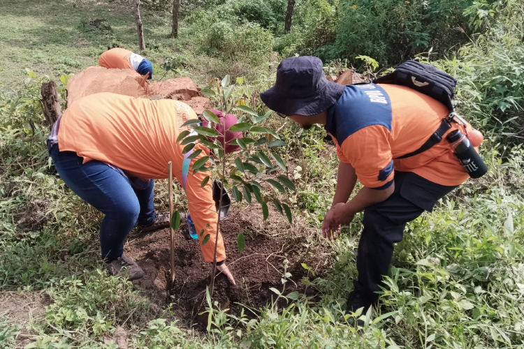Wujud Cinta Alam, Jurnalis Grahadi dan BPBD Tanam Ratusan Pohon di Gunung Lorokan