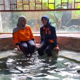 Lebih Privasi dan Nyaman, Pemandian Air Panas Cangar Hadirkan Layanan VIP ala Jacuzzi
