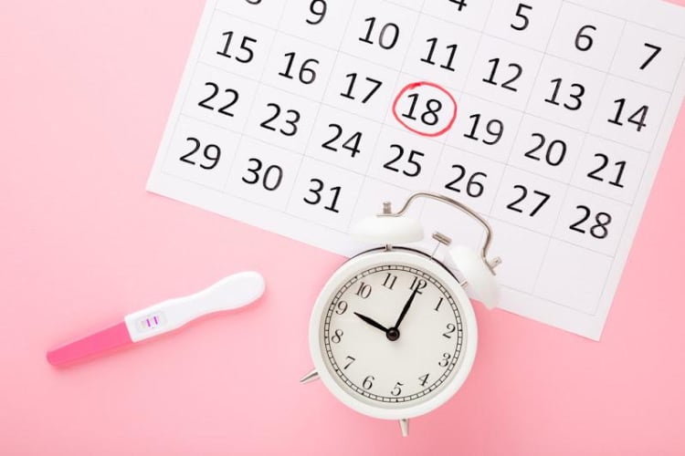 Ilustrasi - Tabel kalender menstruasi sebagai alat bantu prediksi ovulasi pada wanita dengan siklus 27–30 hari. (Foto: alodokter)
