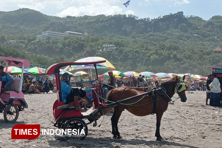 Kunjungan Wisatawan Tembus 1,18 juta, Target PAD Wisata Bantul Baru Capai 35 Persen