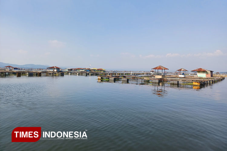 Ikan Cirata Aman Dikonsumsi, Petani Desak Menteri KKP Klarifikasi Pernyataan Merkuri