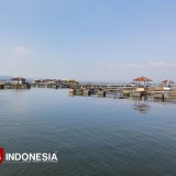 Ikan Cirata Aman Dikonsumsi, Petani Desak Menteri KKP Klarifikasi Pernyataan Merkuri