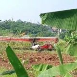 Detik-detik Tragis Kecelakaan Pesawat Latih di Bogor, Pilot TNI AU Meninggal dan Satu Kritis
