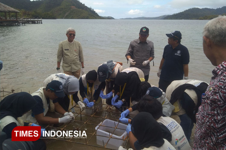 Peduli Laut, Mahasiswa UGM Tanam Ratusan Bibit Terumbu Karang di Pesisir Selatan Sumbar