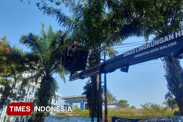 Kabel hingga Pohon di Suhat Kota Malang Mulai Ditertibkan Demi Proyek Gorong-Gorong