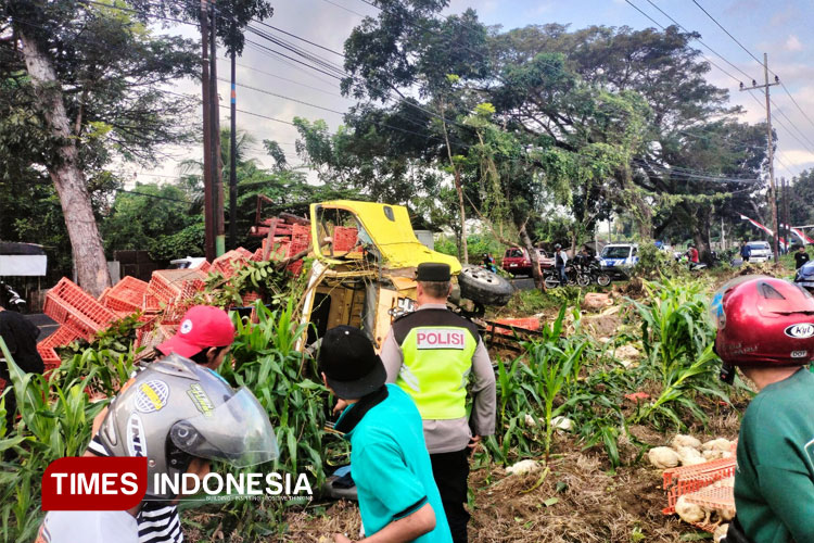 Kecelakaan Truk, Sebabkan Ratusan Ayam Berhamburan di Jalanan Kabat Banyuwangi