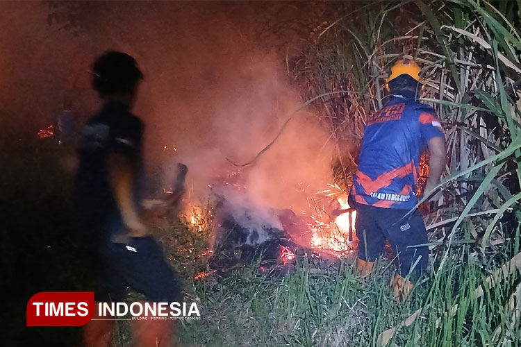 Kebakaran Lahan Tebu dan Pohon Sengon di Bondowoso, Ini Imbauan BPBD