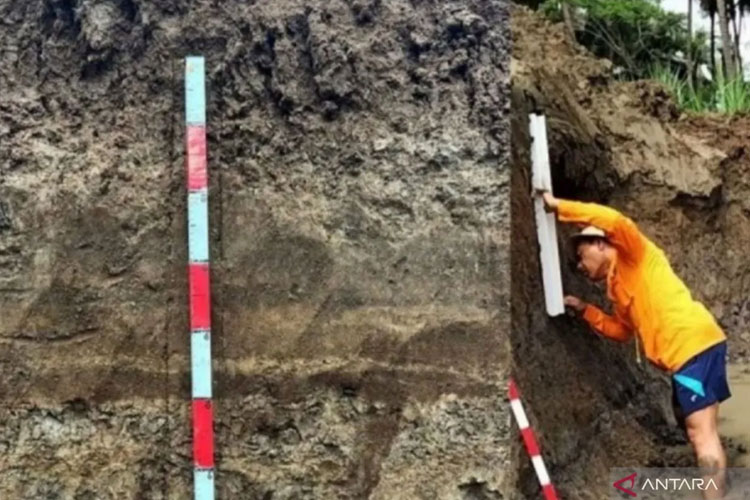 Tsunami Raksasa Pernah Hantam Selatan Jawa? BRIN Beberkan Bukti Foraminifera 3.000 Tahun