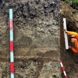 Tsunami Raksasa Pernah Hantam Selatan Jawa? BRIN Beberkan Bukti Foraminifera 3.000 Tahun