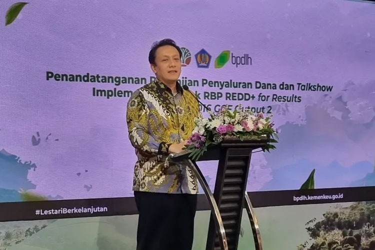 Indonesia Terima Pendanaan Rp1,6 Triliun dari GCF untuk Penanganan Perubahan Iklim