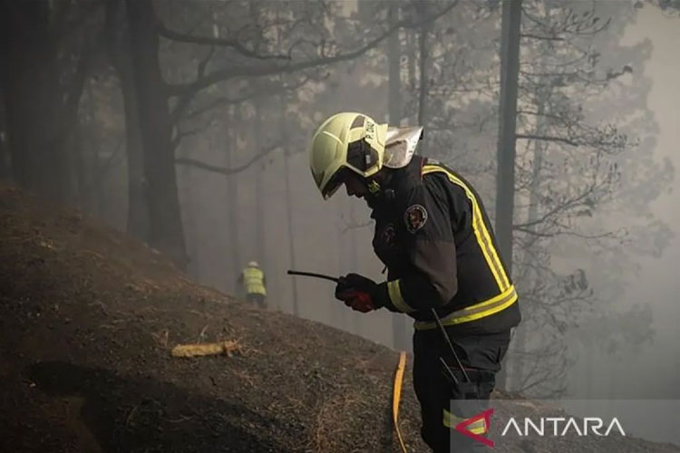 Terbesar dalam 76 Tahun Terakhir: Kebakaran Hutan Prancis Belum Terkendali, 16.000 Hektar Hangus