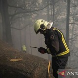 Terbesar dalam 76 Tahun Terakhir: Kebakaran Hutan Prancis Belum Terkendali, 16.000 Hektar Hangus