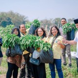 Perkuat Ketahanan Pangan, Kemenko Pangan Siapkan Strategi Bioekonomi