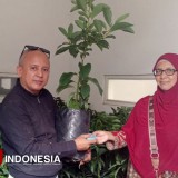 1 Dekade TIMES Indonesia Usung Masa Depan Hijau, Terima Ucapan Ratusan Bibit 'Kehidupan'