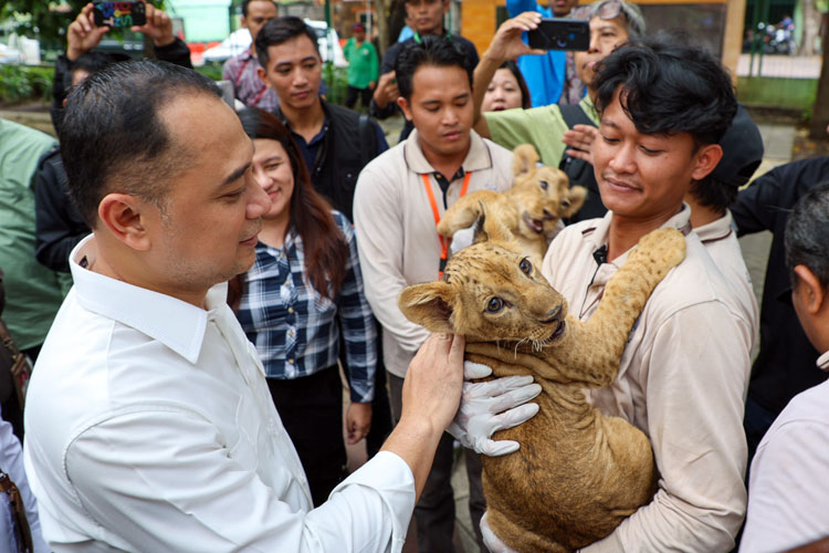 Wali Kota Eri Dorong Inovasi KBS, akan Punya Bioskop 7 Dimensi Hingga Satwa Baru