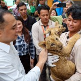 Wali Kota Eri Dorong Inovasi KBS, akan Punya Bioskop 7 Dimensi Hingga Satwa Baru