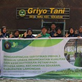 Mahasiswa KKN FP UB Dampingi Petani Desa Miru Raih Sertifikasi PRIMA 3