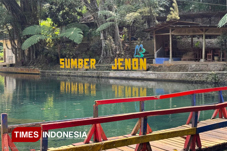 Ancient Jenu tree rests beneath Sumber Jenon’s crystal-clear waters. (Photo: Beril Bestarino/TIMES Indonesia)