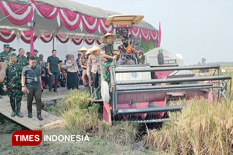 Dandim 0809 kediri saat panen raya (FOTO: Canda Adisurya/TIMES Indonesia)