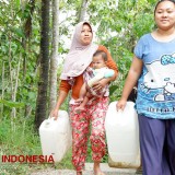34 Desa Terancam Krisis Air, BPBD Pacitan: Belum Ada Permintaan Droping