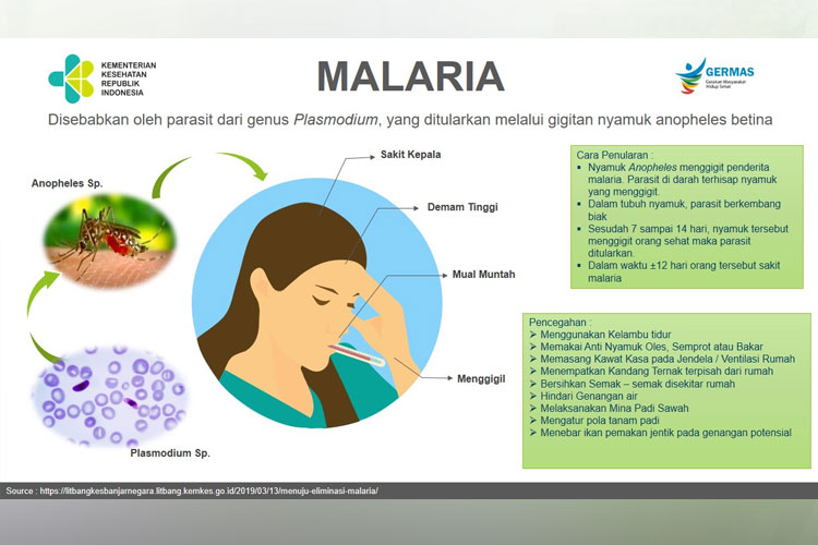 Waspadai malaria. (Ilustrasi - Kemenkes RI)