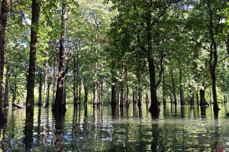 Exploring the Natural Wonders of Berau, East Kalimantan