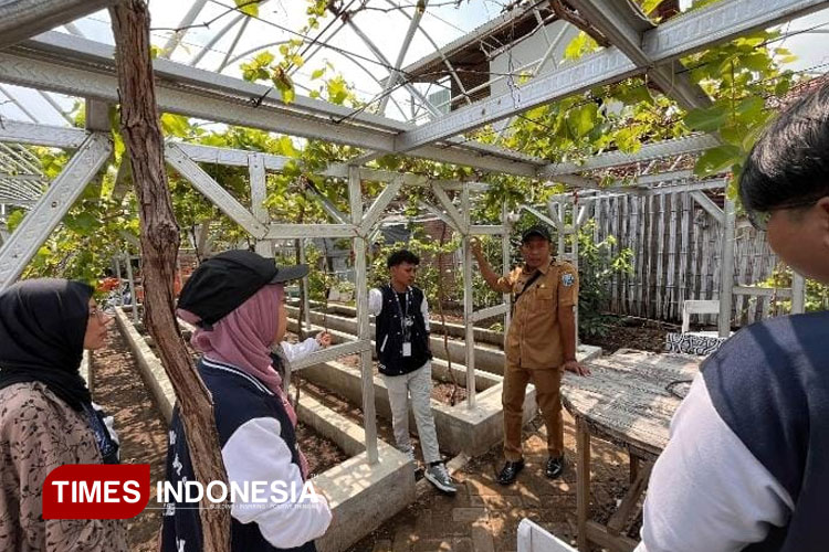 Mahasiswa KKN Unitomo di lokasi Kampung Anggur Probolinggo ditemani kepala desa setempat. (Foto: Jalil/TI Photo Network)