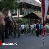 Kebanggaan dan Konservasi, Parade Satwa Meriahkan HUT ke-80 RI di Taman Safari Bali