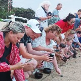 Simbol Kemerdekaan RI, 80 Tukik Dilepas Griya Santrian Sanur Bali