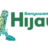 Pengumunan, Project Banyuwangi Hijau PT SYSTEMIQ Buka Tender 2 Jenis Pengadaan