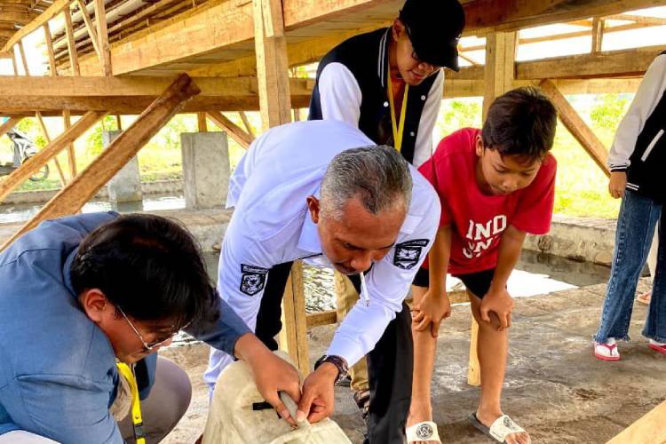 KKN Unitomo dan BUMDes Jatiurip Kolaborasi Kembangkan Budidaya Lele, Ayam Petelur, dan Kelengkeng Berkelanjutan