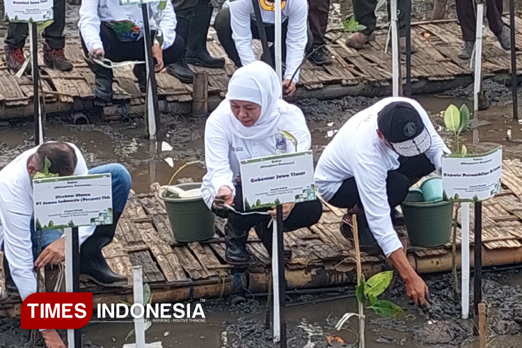 17.845 Bibit Mangrove Bakal Ditanam di Pesisir Jatim, Termasuk Pantai Bahak Tongas Probolinggo