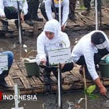 17.845 Bibit Mangrove Bakal Ditanam di Pesisir Jatim, Termasuk Pantai Bahak Tongas Probolinggo