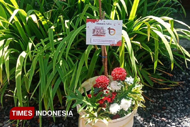 KADIN Majalengka Sumbangkan Bibit Pohon di 1 Dekade TIMES Indonesia
