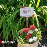 KADIN Majalengka Sumbangkan Bibit Pohon di 1 Dekade TIMES Indonesia