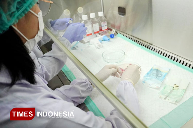 Riset Sel Punca UKWMS Hasilkan Terapi Luka Bakar, Mata Kering, hingga Anti-Aging
