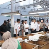 Pastikan Tak Terpotong! Pemkab Bondowoso Salurkan BLT DBHCHT 2025 pada 7.566 Buruh Tembakau
