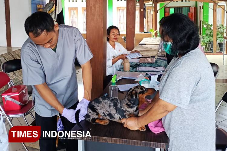Warga Yogyakarta Bisa Vaksinasi Rabies Gratis untuk Hewan Peliharaan Mulai 1 September 2025