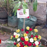 Rayakan 1 Dekade TIMES Indonesia, DKP3 Majalengka Turut Sumbang Bibit Buah