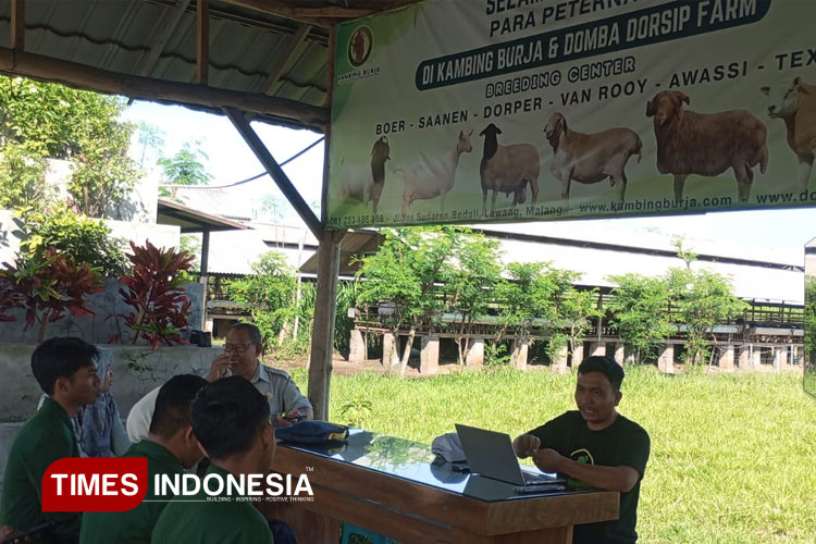 Mahasiswa Polbangtan Malang Rintis Peternakan Modern, Gandeng Mitra Kambing Burja