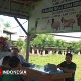 Mahasiswa Polbangtan Malang Rintis Peternakan Modern, Gandeng Mitra Kambing Burja