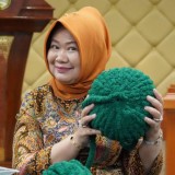 Chunky Knit Pillow: Dari Literasi ke Kreasi di Perpustakaan MPR RI