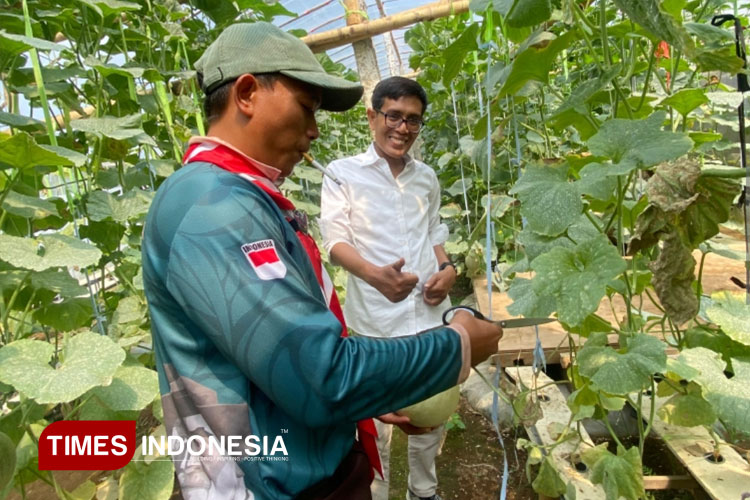 Bagus Samudro, Petani Muda Durenan Ngajum Sukses Budidaya Melon Premium di Green House