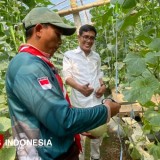 Bagus Samudro, Petani Muda Durenan Ngajum Sukses Budidaya Melon Premium di Green House