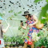 Wujud Komitmen Lingkungan, 5 Ribu Kupu-kupu Asli Bali Dilepasliarkan di Nuanu Creative City