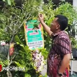 Bupati Ponorogo, Sugiri Sancoko Pelopor Ucapan Bibit Pohon