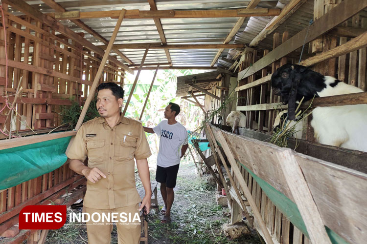 Kandang-2.jpg